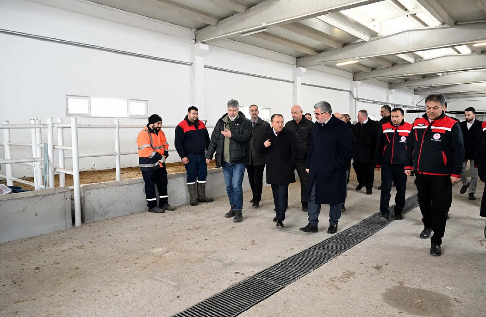 AKÜ Ve Tarım Müdürlüğü İş Birliğinde 30 Manda Üreticiye Dağıtıldı