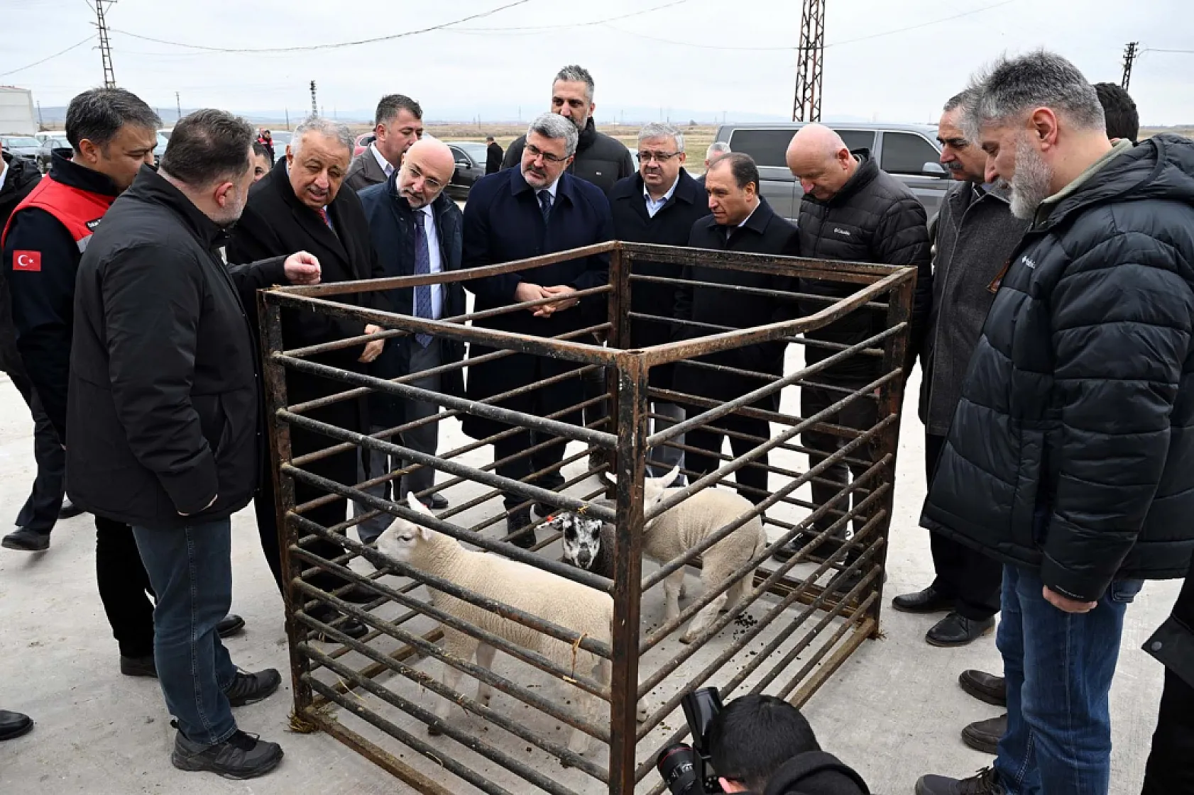 AKÜ Ve Tarım Müdürlüğü İş Birliğinde 30 Manda Üreticiye Dağıtıldı