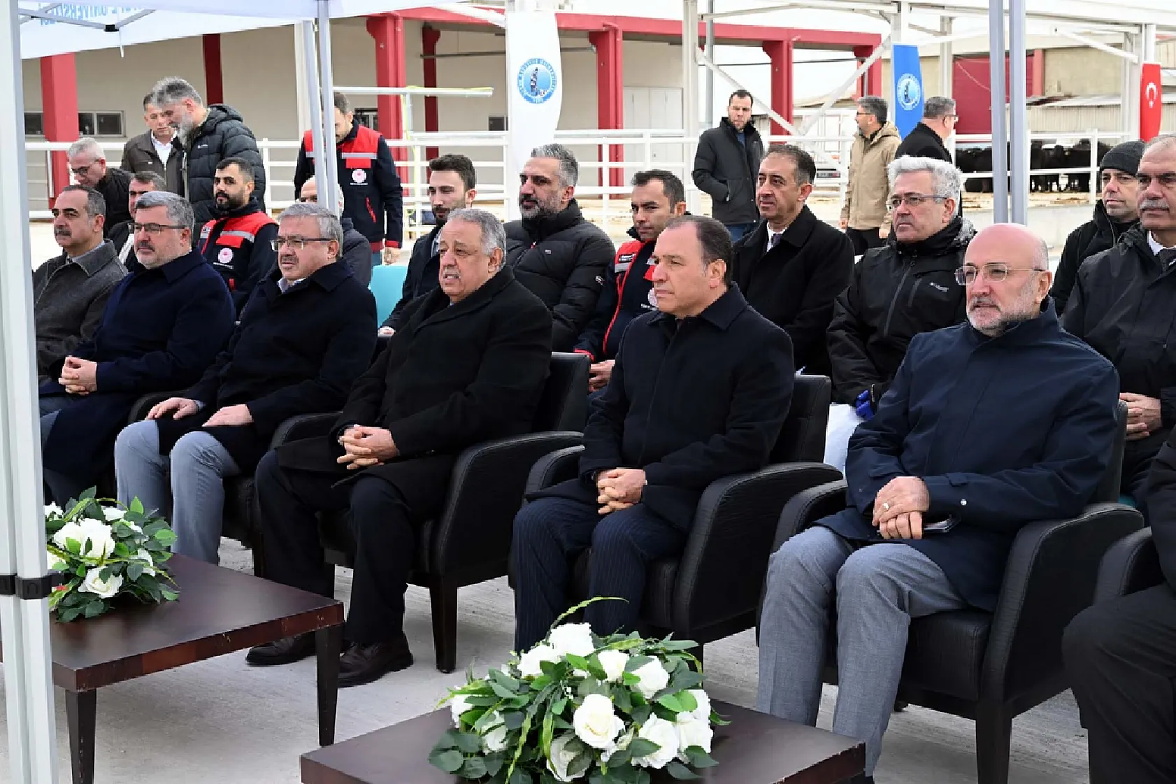 AKÜ Ve Tarım Müdürlüğü İş Birliğinde 30 Manda Üreticiye Dağıtıldı