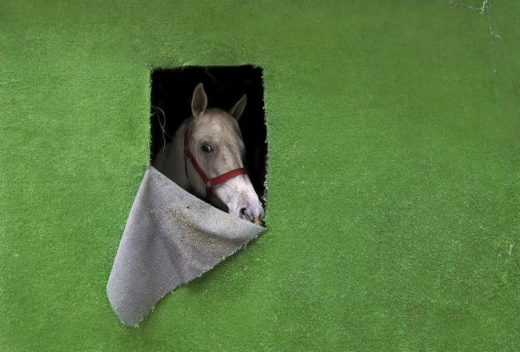 Etem Tem Ulusal Fotoğraf Yarışması'nda Görsel Şölen