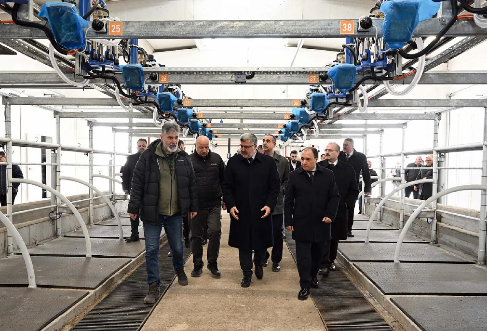 AKÜ Ve Tarım Müdürlüğü İş Birliğinde 30 Manda Üreticiye Dağıtıldı