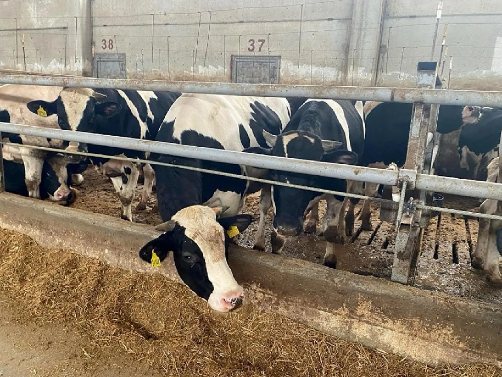 Tarımda Desteklerde Yüzde 100'ün Üzerine Çıkılacak
