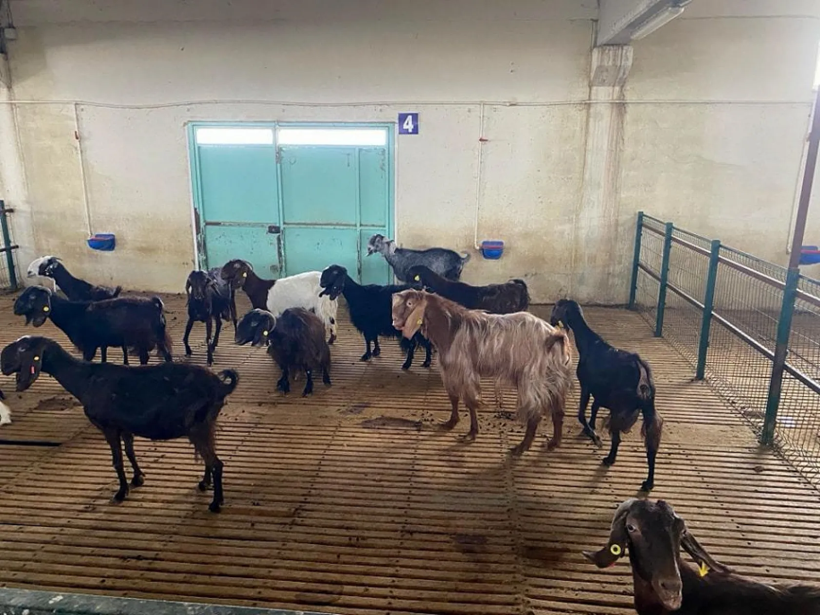 Tarımda Desteklerde Yüzde 100'ün Üzerine Çıkılacak