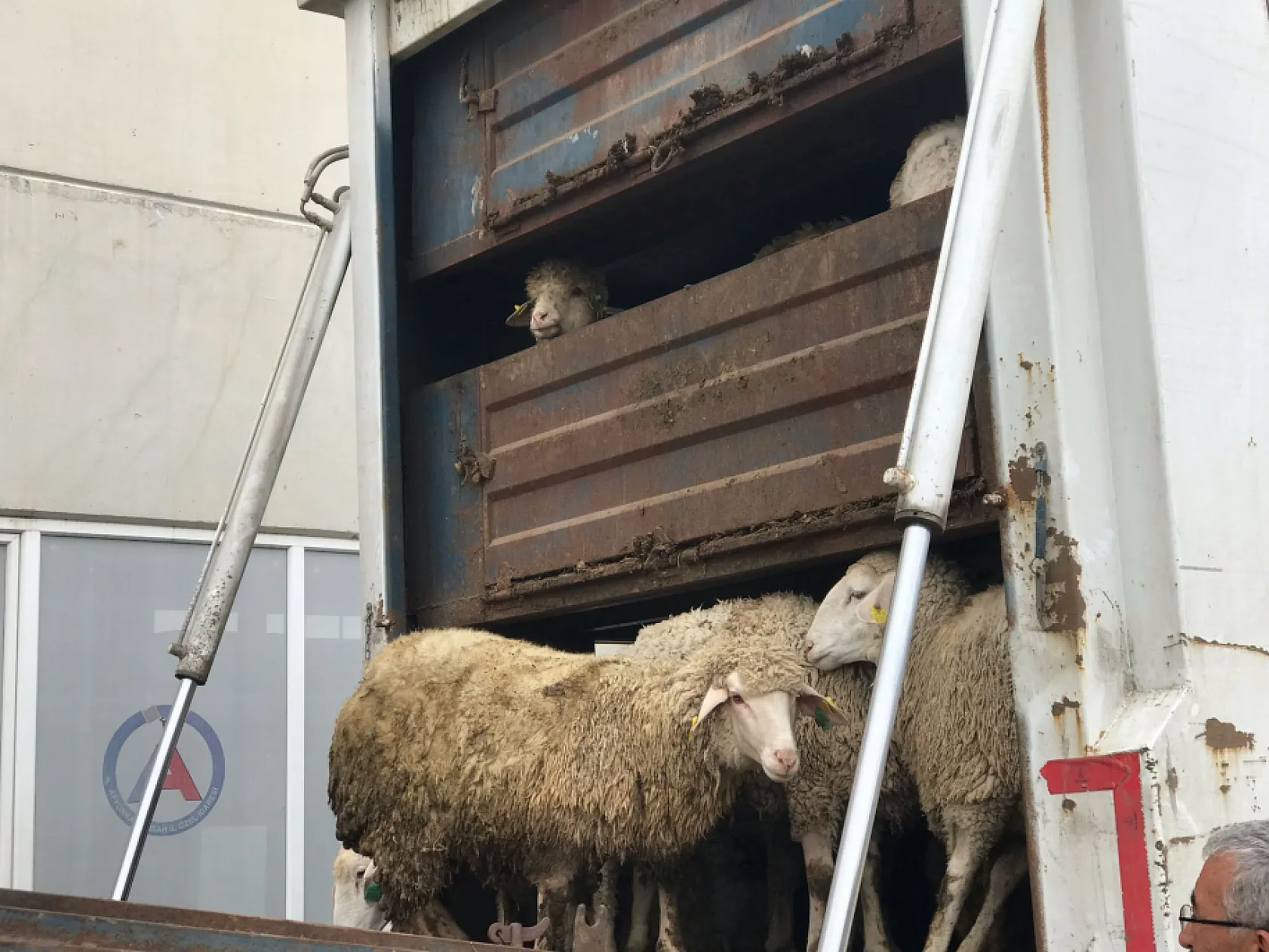 Vali Yiğitbaşı: Bu Projenin İkinci Bir Örneği Yok