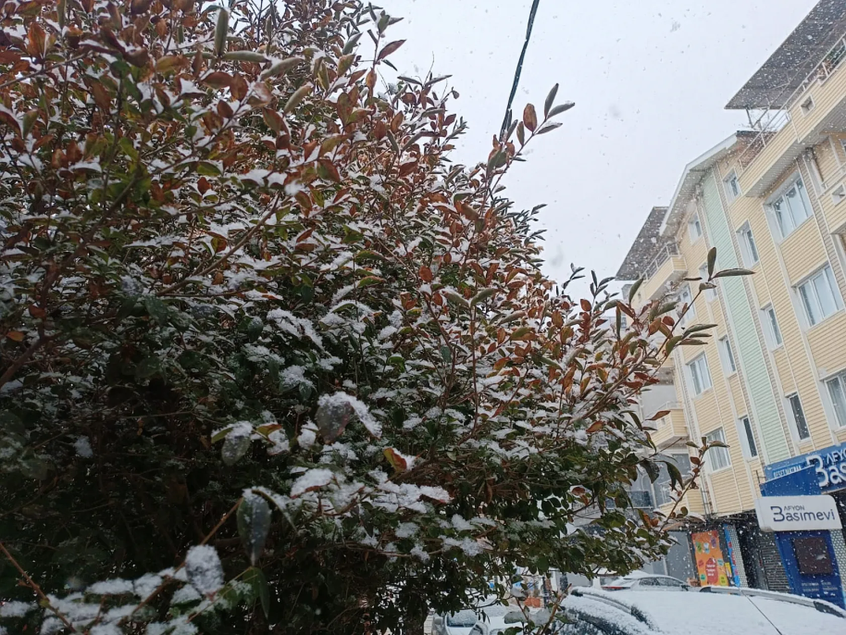 Afyon, Güne Beyaz Bereketle Uyandı