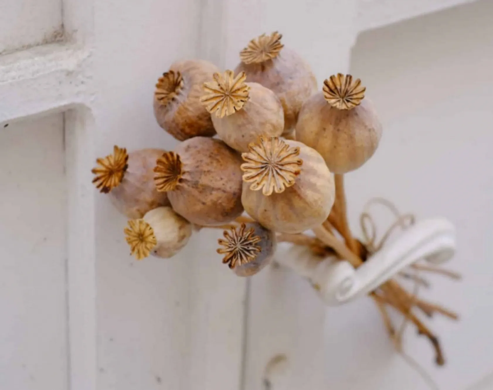 Sadece Afyon'da Görebileceğiniz Ve Şaşıracağınız Şeyler