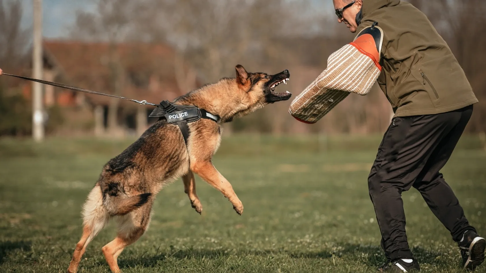 Köpek Saldırısından Nasıl Korunulur?