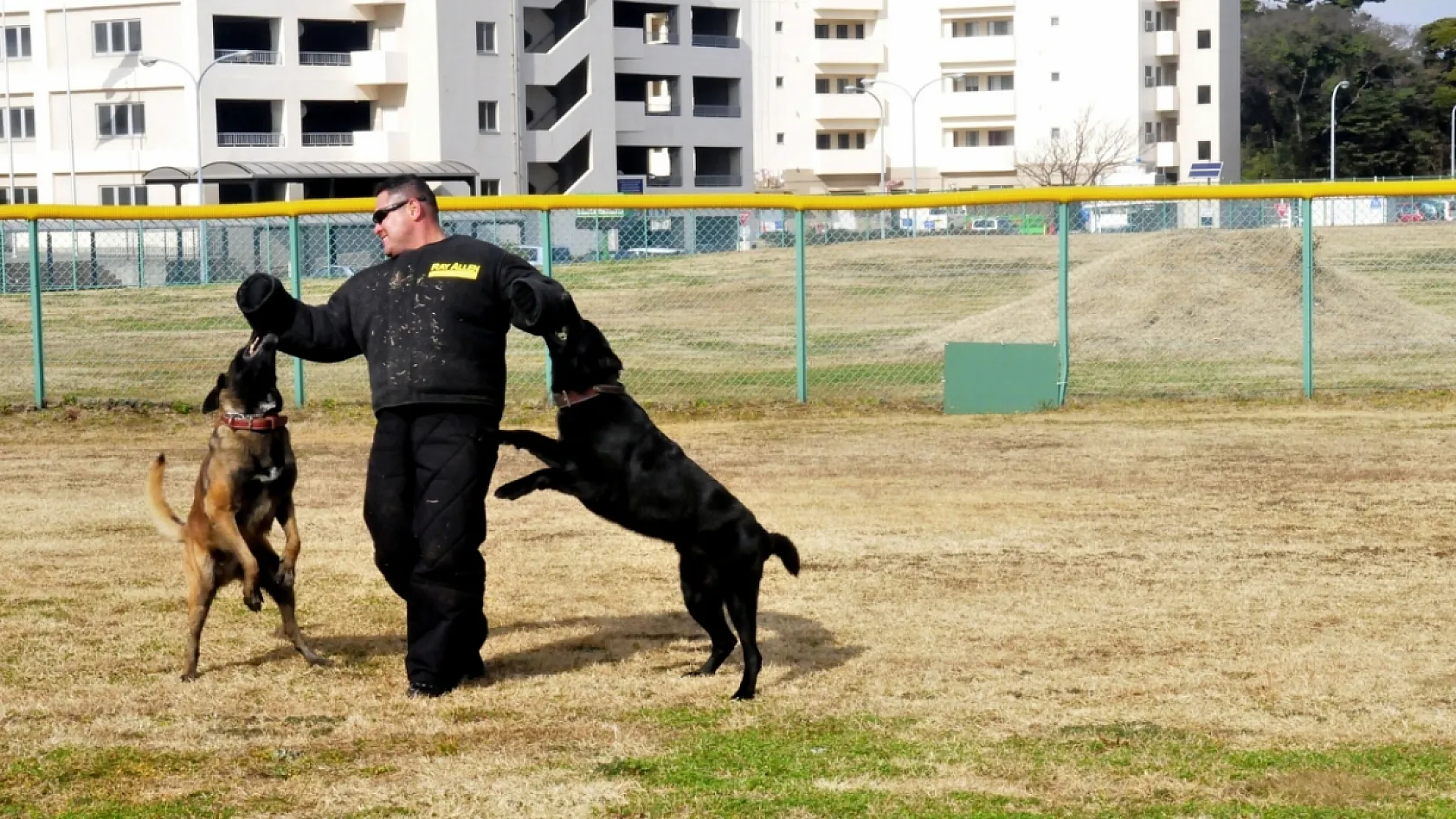 Köpek Saldırısından Nasıl Korunulur?