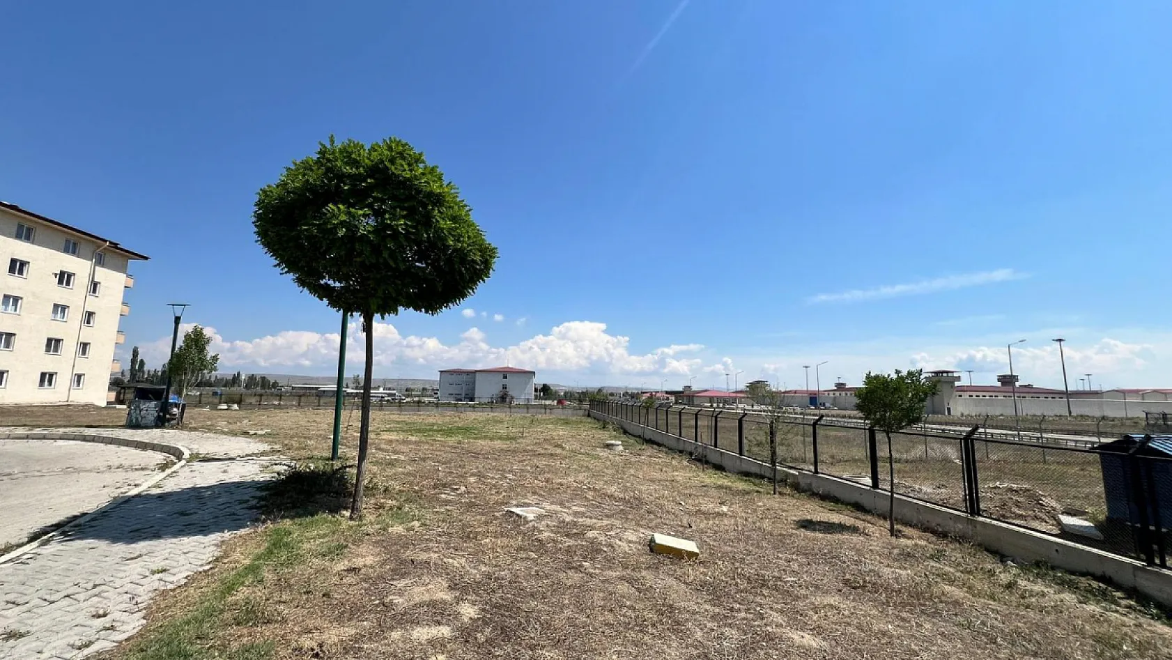 Afyon'da Bundan Böyle Uçurtmayı Vurmayacaklar