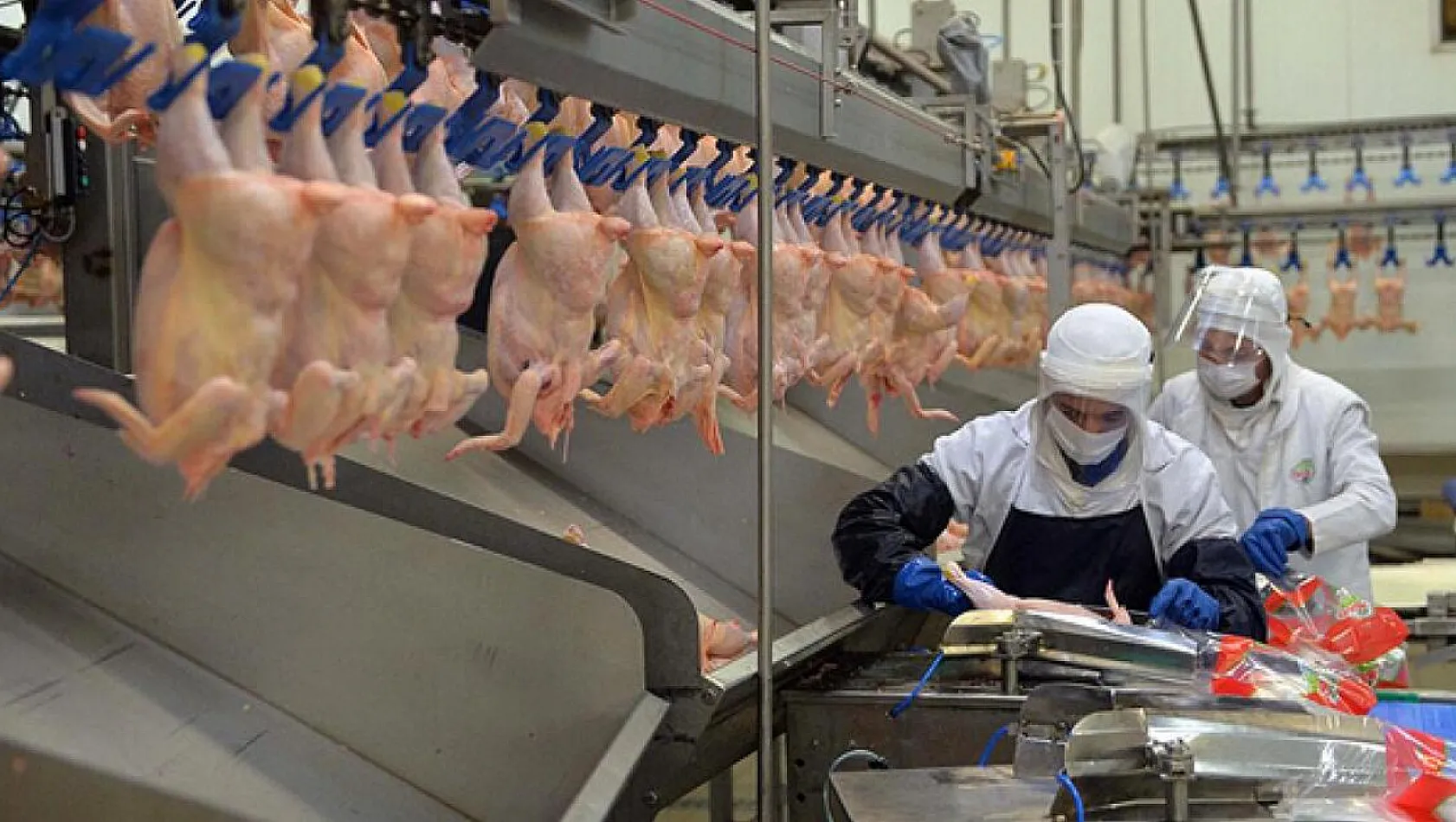 Tavuk Eti İhracatına Ramazan Ayarı
