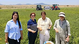Afyon'da Denenen Nohut Çeşidi Rekor Verime Koşuyor