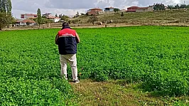 Afyon'da Tarlalar Uydu Verileriyle Takip Ediliyor!