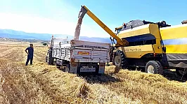 Afyonkarahisar'da Hububat Hasadı Başladı