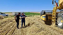 Afyonkarahisar'da Hububat Hasadı Başladı