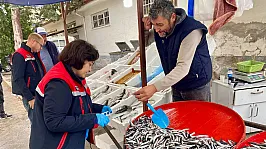 Dazkırı'da Su Ürünleri Satış Yerleri Denetlendi