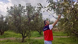 Ekipler Bahçelerde Tek Tek İnceleme Yaptı