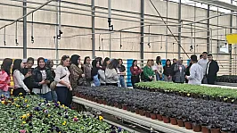 Öğrenciler, Jeotermal Enerjiyi Yerinde İnceledi