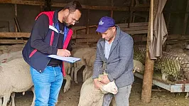 Sürdürülebilir Koyun Projesi Çerçevesinde İşletme Denetimleri Sürüyor