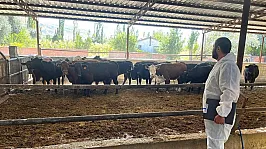 TİGEM İşletmelerinde Denetim Yapıldı