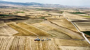 7 İlde Ekilen Borsa-20 Nohudunda İlk Hasat Afyon'dan Geldi