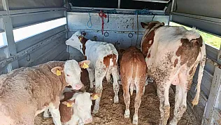 Afyon'da Denetimler Sürüyor: Belgeler Tek Tek İncelendi