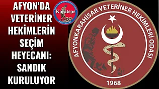 Afyon'da Veteriner Hekimlerin Seçim Heyecanı: Sandık Kuruluyor
