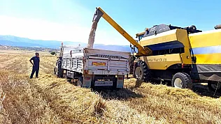 Afyonkarahisar'da Hububat Hasadı Başladı