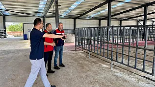 Bolvadin Hayvan Pazarı Açılış Öncesi Denetlendi