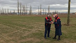 Ekinlerde Kambur Böceği Zararlısına Dikkat!