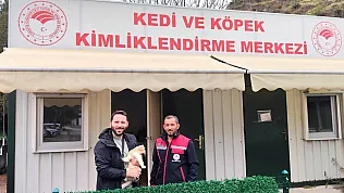 Kedi Ve Köpekler Mikroçip İle Kayıt Altına Alınıyor