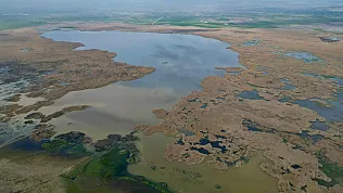 Yağışlar Eber Gölü'ne Can Verdi