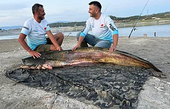 2 Metre 27 Santimlik Balık Yakaladılar!
