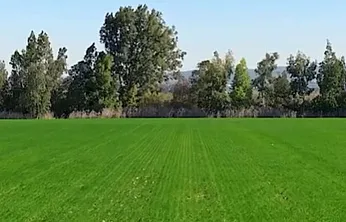 Afyon'a Tarım Üssü Kuruluyor!