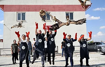Afyon'da 23 Yaban Hayvanı Hayata Tutundu!