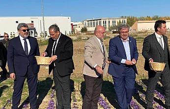 'Afyon'da Alım Garantili Safran Üretilecek'