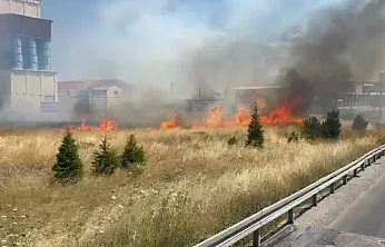 Afyon'da Anız Yangını Ulaşımı Aksattı