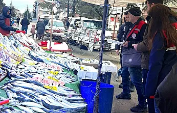 Afyon'da Balık Tezgâhlarına Sıkı Denetim!