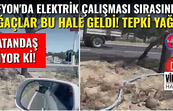 Afyon'da Elektrik Çalışması Sırasında Ağaçlar Bu Hale Geldi! Tepki Yağdı