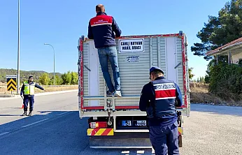 Afyon'da Hayvan Taşıyan Araçlar Tek Tek Durduruluyor!
