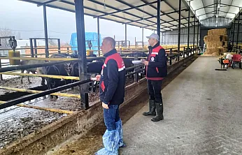 Afyon'da İşletmeler Tek Tek İnceleniyor