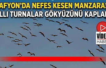 Afyon'da Nefes Kesen Manzara! Allı Turnalar Gökyüzünü Kapladı