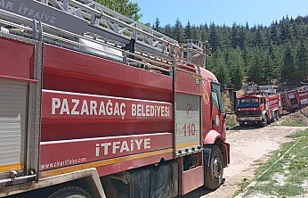 Afyon'da Orman Yangını… Ekipler Anında Müdahale Etti