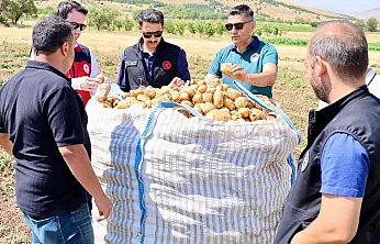 Afyon'da Patates Hasadı Sürüyor! Şuhut'ta Tarlalar Tek Tek İncelendi