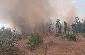 Afyon'da Sıcak Saatler! Kavaklık Alanda Yangın Çıktı