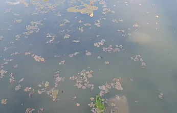 Afyon'da Yaz Gelmeden Kriz Patladı!