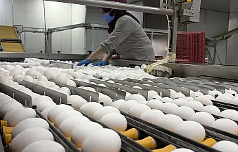 Afyon'da Yumurtaya Zam Gelecek mi? Sektörden Açıklama