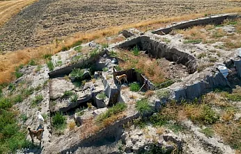 Afyon'daki Tarihi Kazı Alanı Köpeklerin Meskeni Oldu