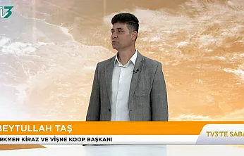 Afyon İçin Olumlu Haber: Kiraz, Don Olayından Etkilenmedi