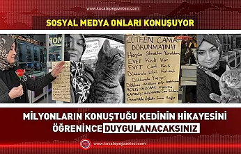 Afyon'un En Ünlü Kedisi Ortaya Çıktı! O Yazının Sırrı Çözüldü