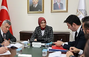 Afyon'un Kültür Varlıkları Değerlendirildi